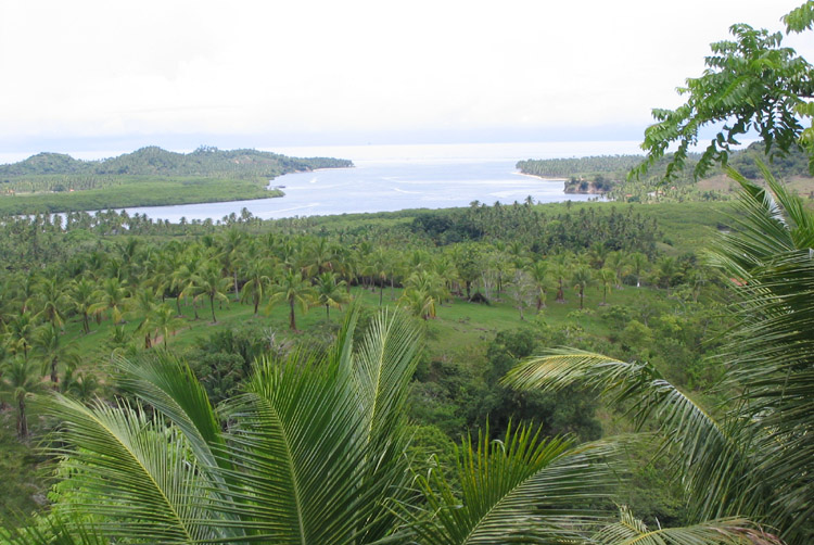 Resort4_gr.jpg