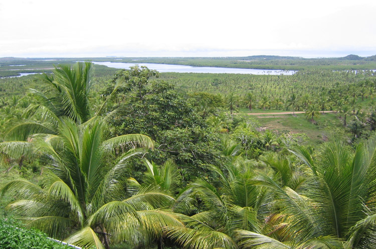 Resort5_gr.jpg